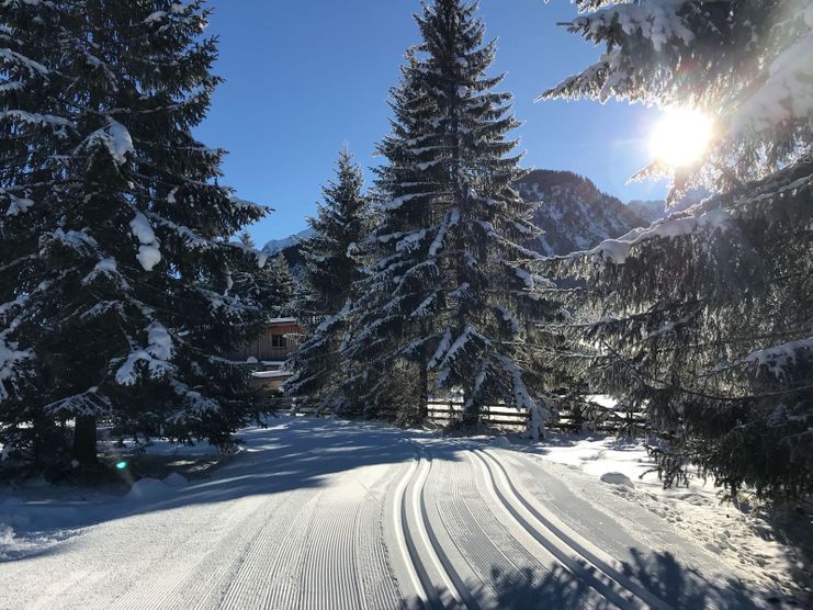 Beschneite Loipe Haldensee - große Runde