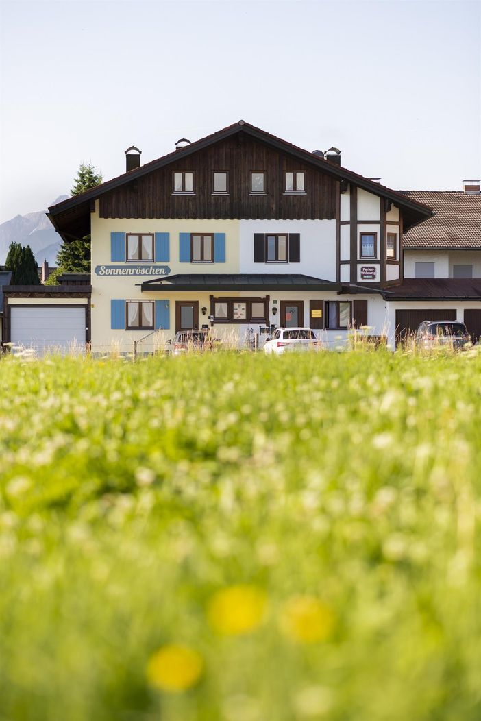 Sonnenröschen