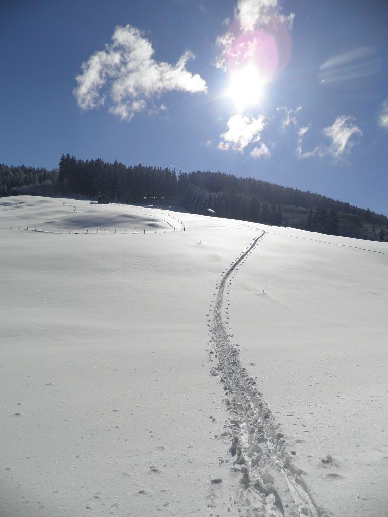 Über freies Gelände
