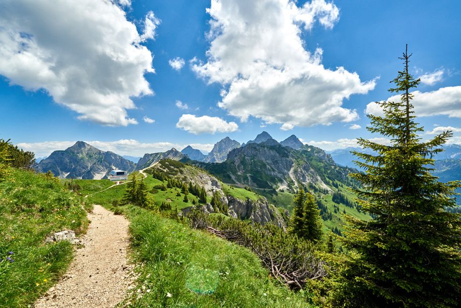 Sebenalm (1.650 m)