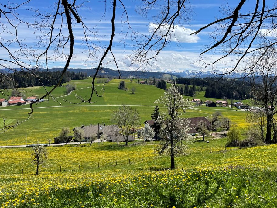 Frühlingserwachen im Westallgäu