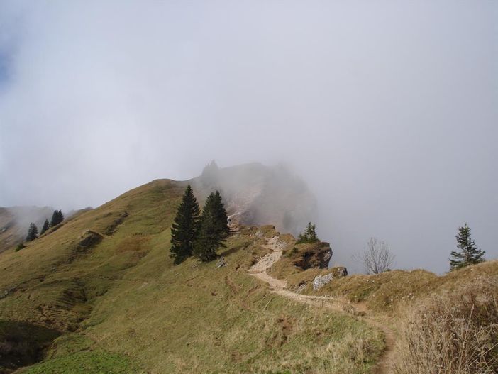 Naturpark Nagelfluh