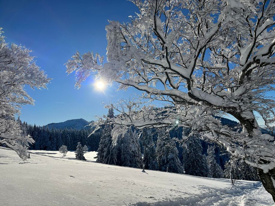 Winterimpression vom Gschwender Horn