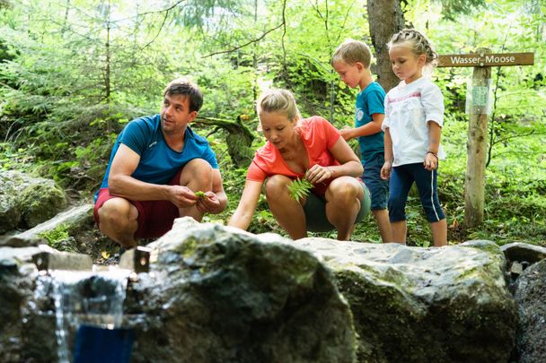 Mit der Familie im Wald
