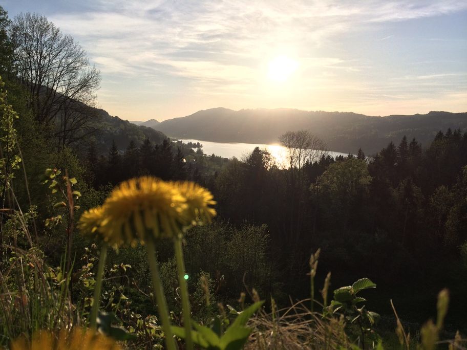 Blick auf den Großen Alpsee