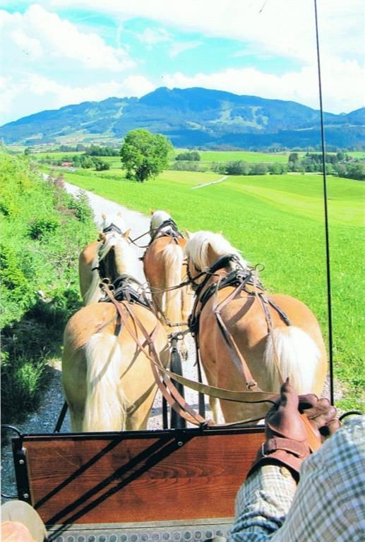 Kutschfahrt mit dem Hausherrn