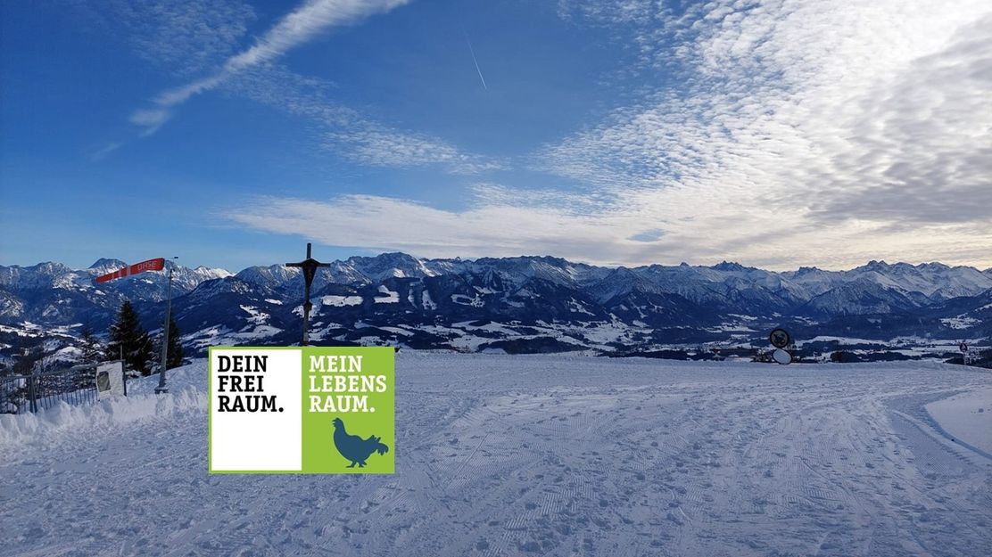 Mittag Gipfel - Naturpark Nagelfluhkette