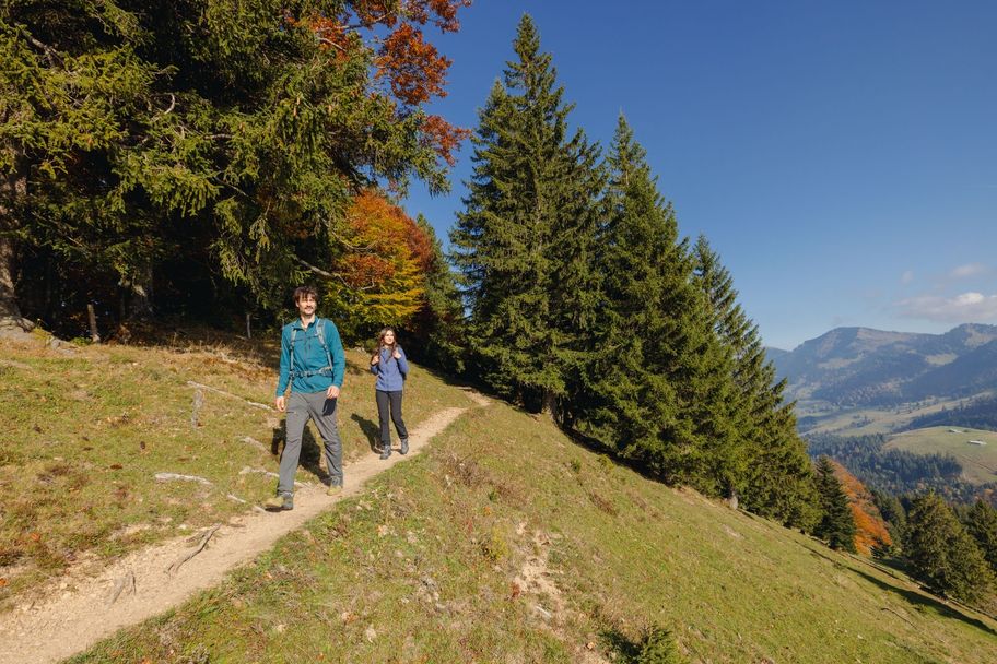 Im Herbst auf dem Premium-Wanderweg