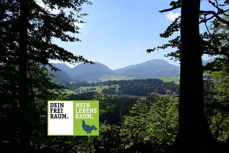 Ausblick Richtung Obermaiselstein