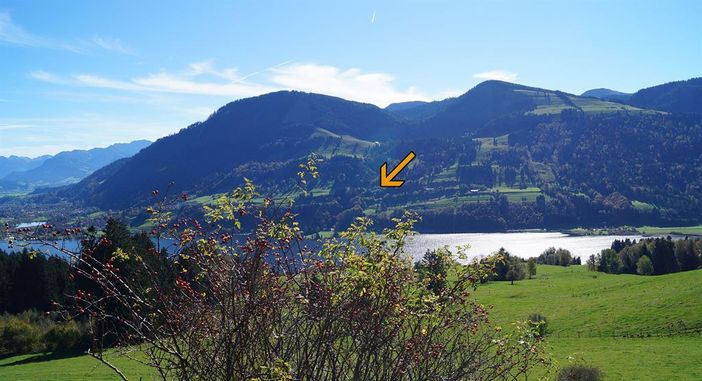 gegenansicht