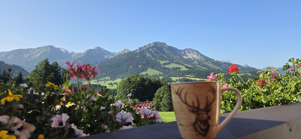 Blick vom Baklon in die tiroler Berge