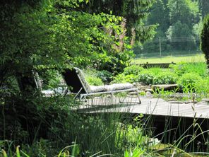 Am Teich im Haus am Wiesenbach