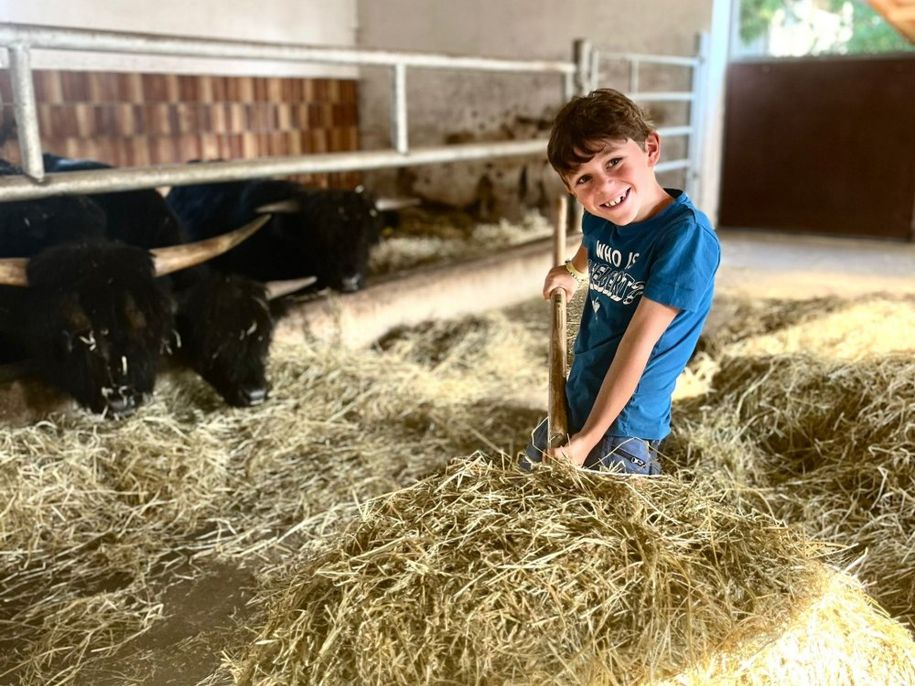 c96d59fe-2122-4aff-9257-96ba2a09091d481157