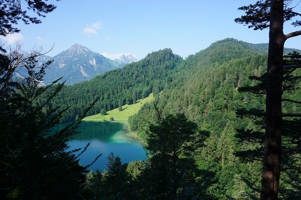 Alatsee