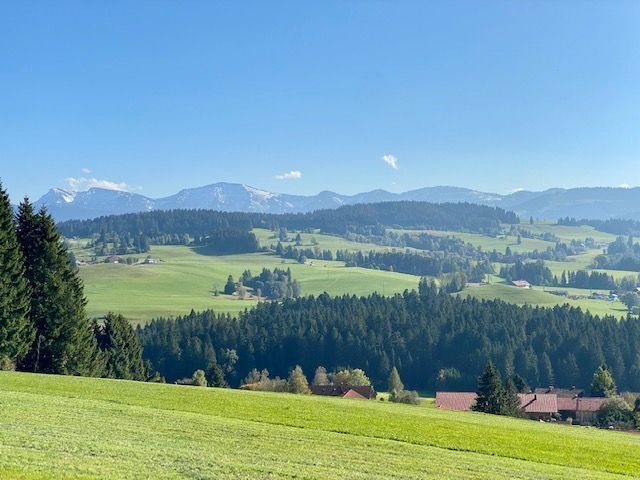 Westallgäu Stiefenhofen Blick zum Hochgrat Nagelflukette