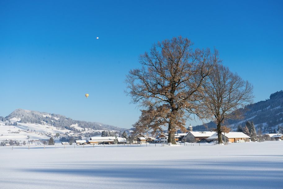 Winterrunde durch das Agathazeller Moos