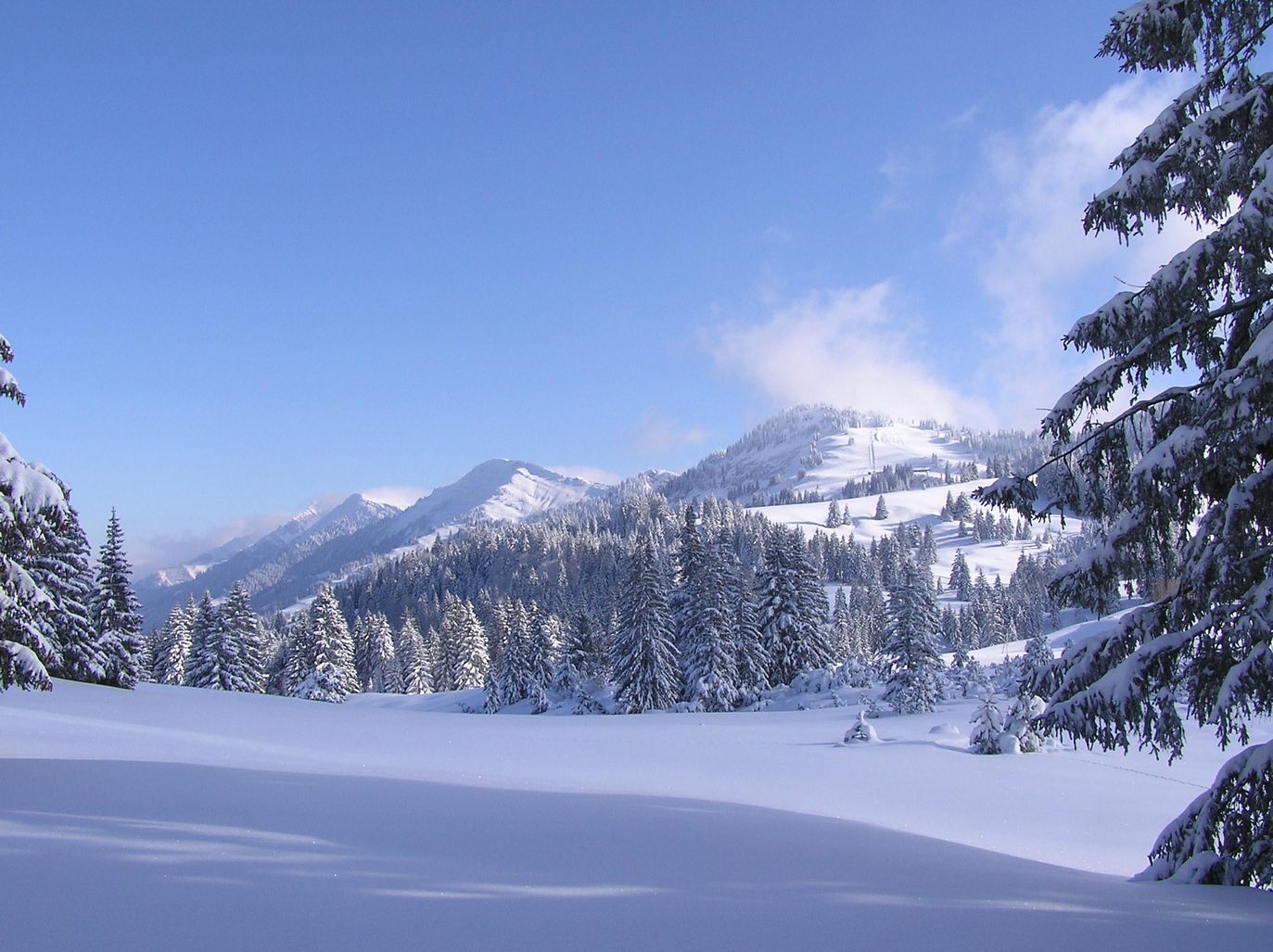 Winterbilder2009Falkenhütte-Steibis 002