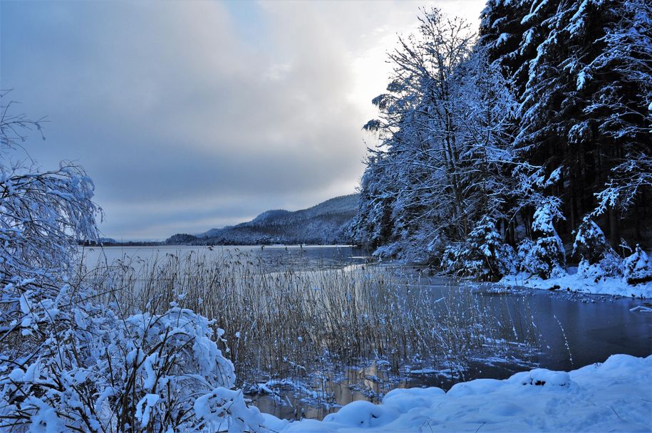Winter_24