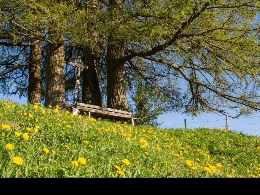 dieseelebaumelnlassen..