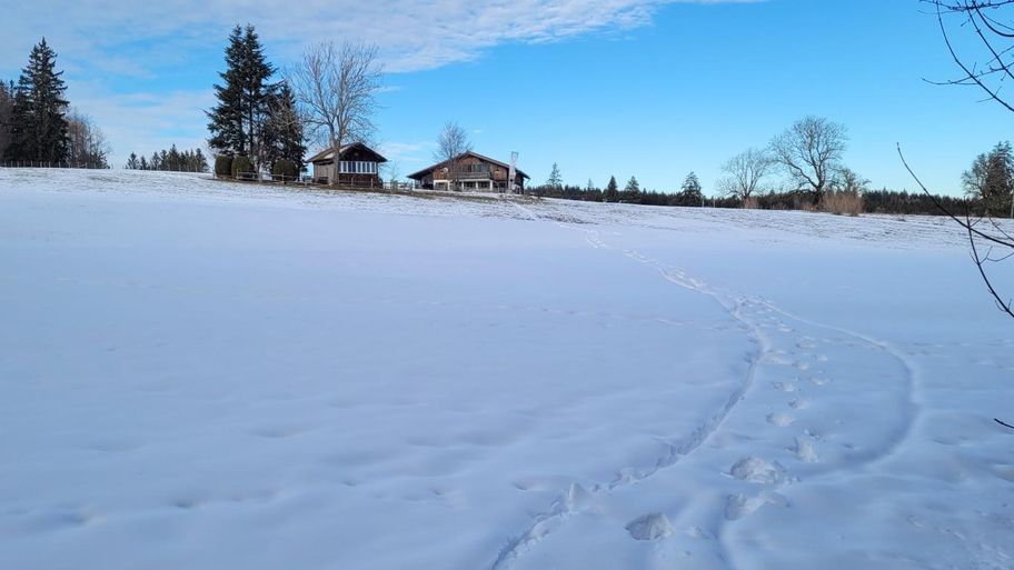 Rundtour über die Bergmang Alpe