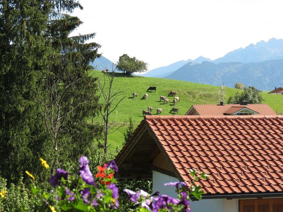 ferienwohnung