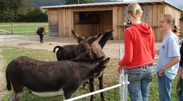 Illerradweg und Burgberger Tierparadies