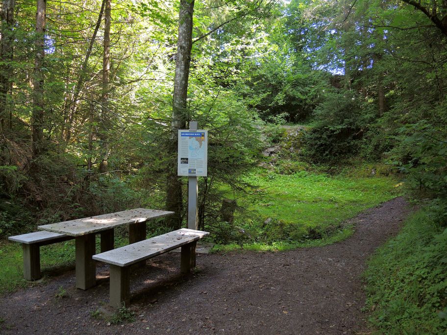 Erratischer Block Weiler