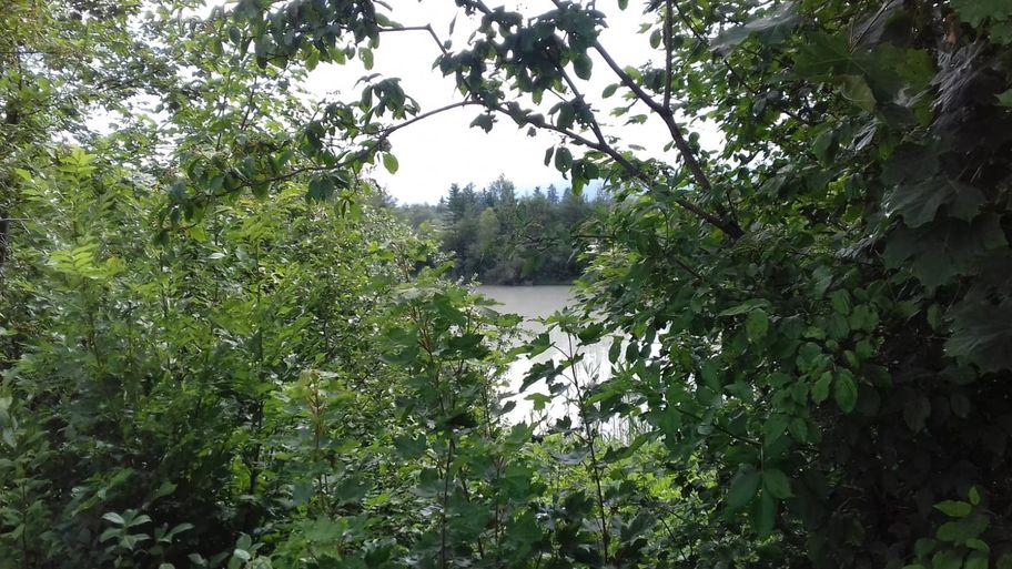 Blick auf den Lech vom Lech-Uferweg
