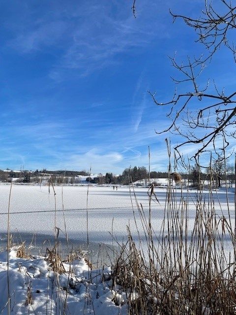 Zugefrorener Bachtelweiher