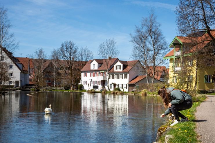 Sauweiher in Isny
