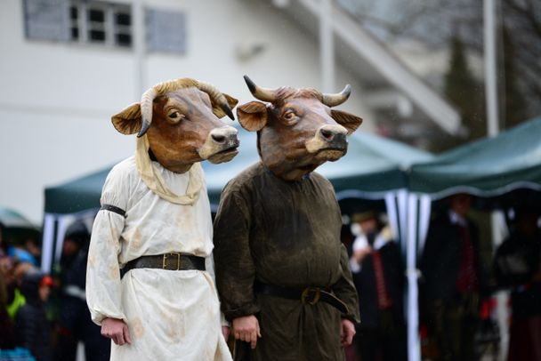 Nahaufnahme der Kuh- und "Molle"-Masken