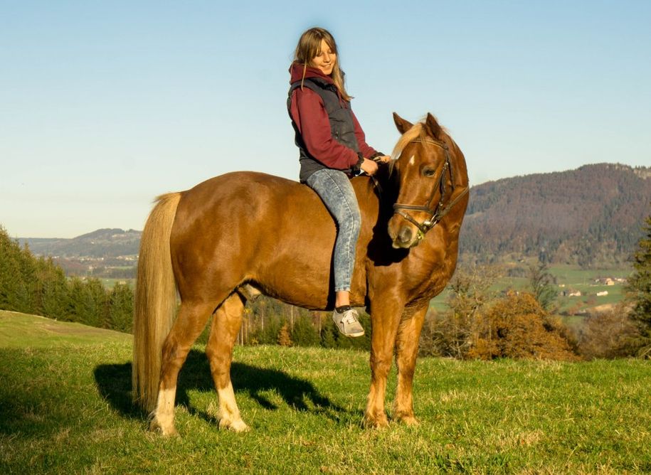 Ponyreiten Ferienhof Endreß