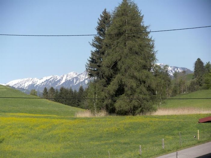 Blick auf die Berge