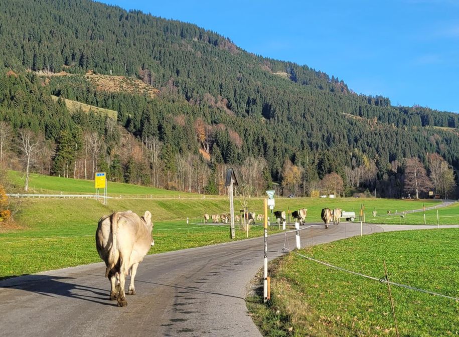 Ortsausgang Unterjoch Richtung Wertach