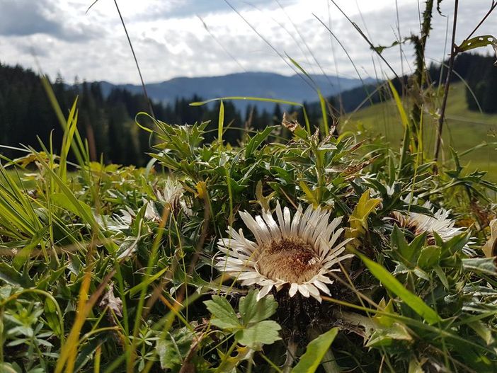 Impressionen