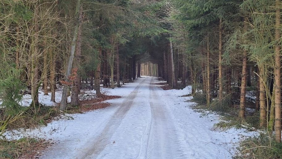 Stadtwaldrunde in Buchloe