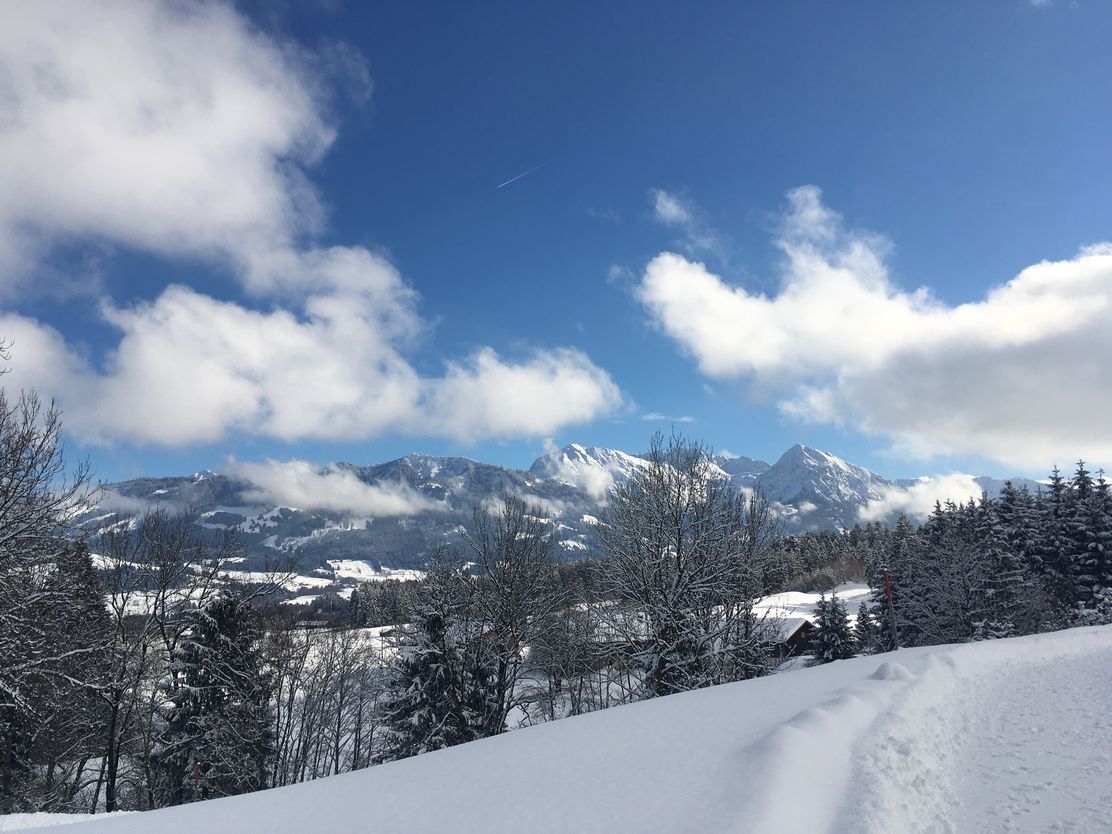 Blick nach Riedle und auf die verschneiten Allgäuer Alpen