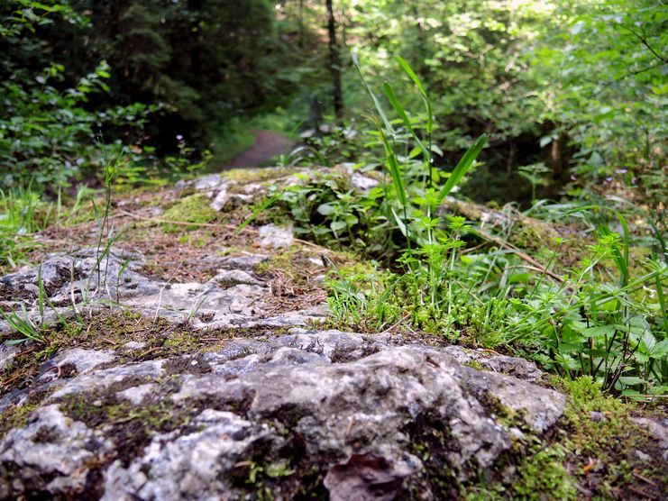 Erratischer Block Weiler