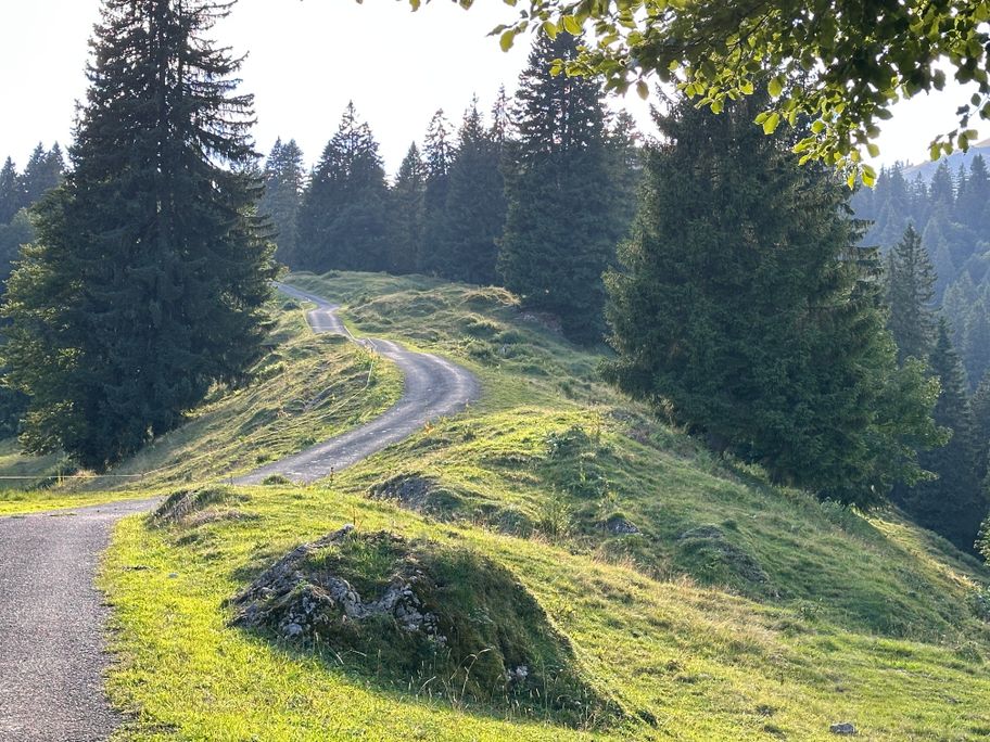 Von der Scheidwang-Alpe auf den Hochgrat