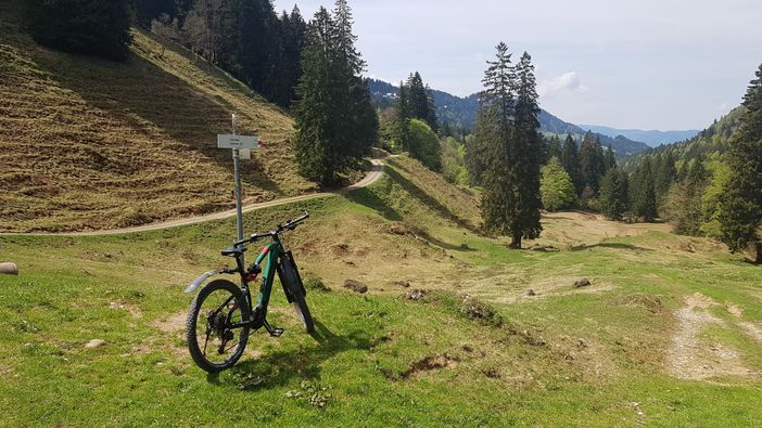 Beim Waibel