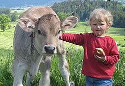 kinderurlaub