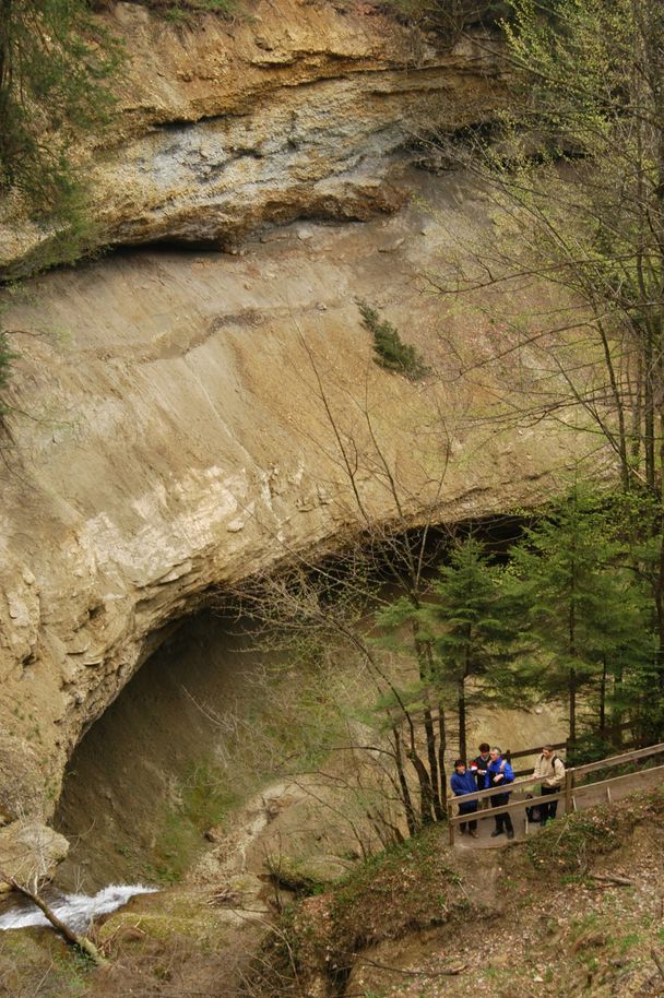 Scheidegger Wasserfälle