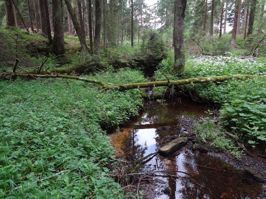 Breitenmoos Hellengerst