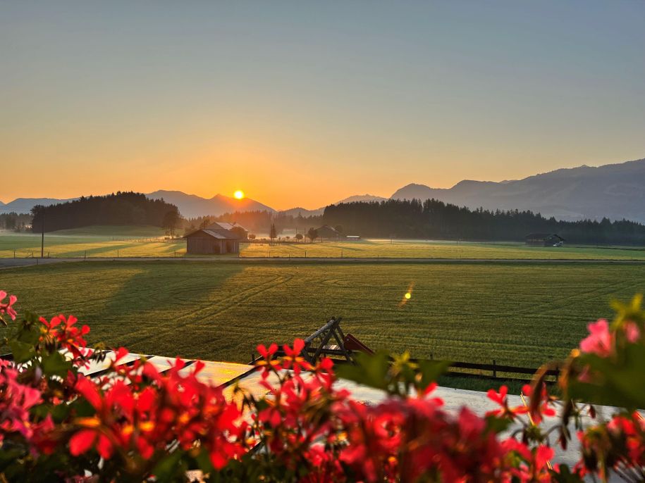 Blick nach Osten