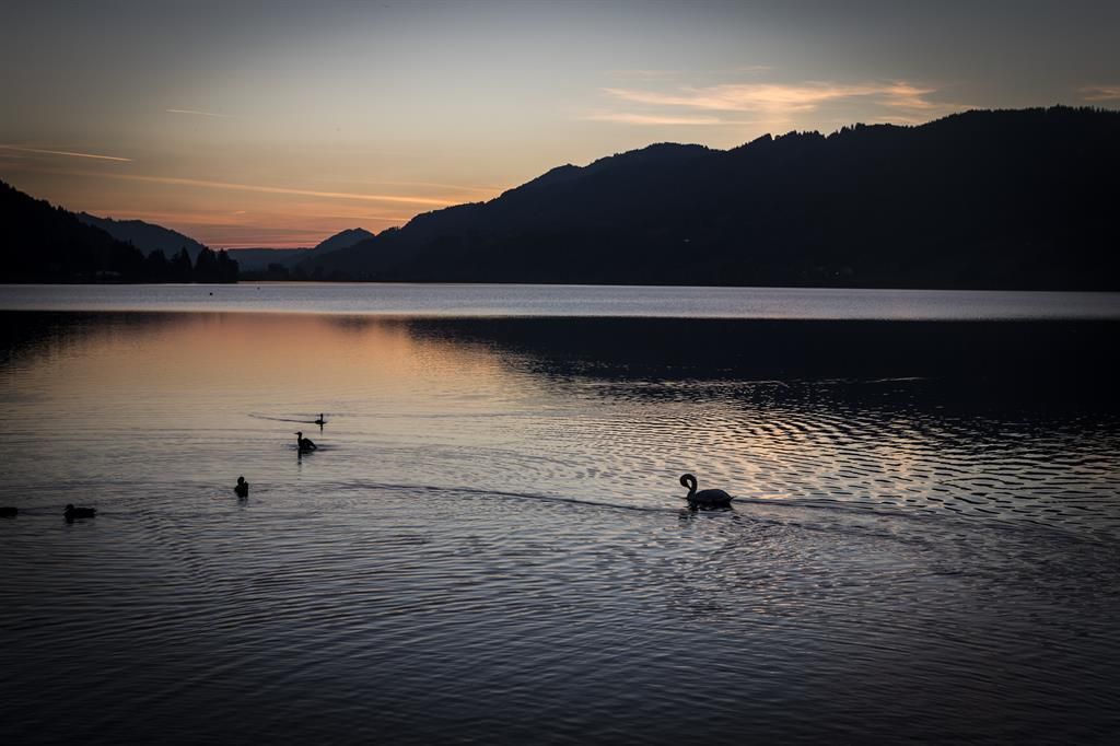 13435729923_016300116f_k