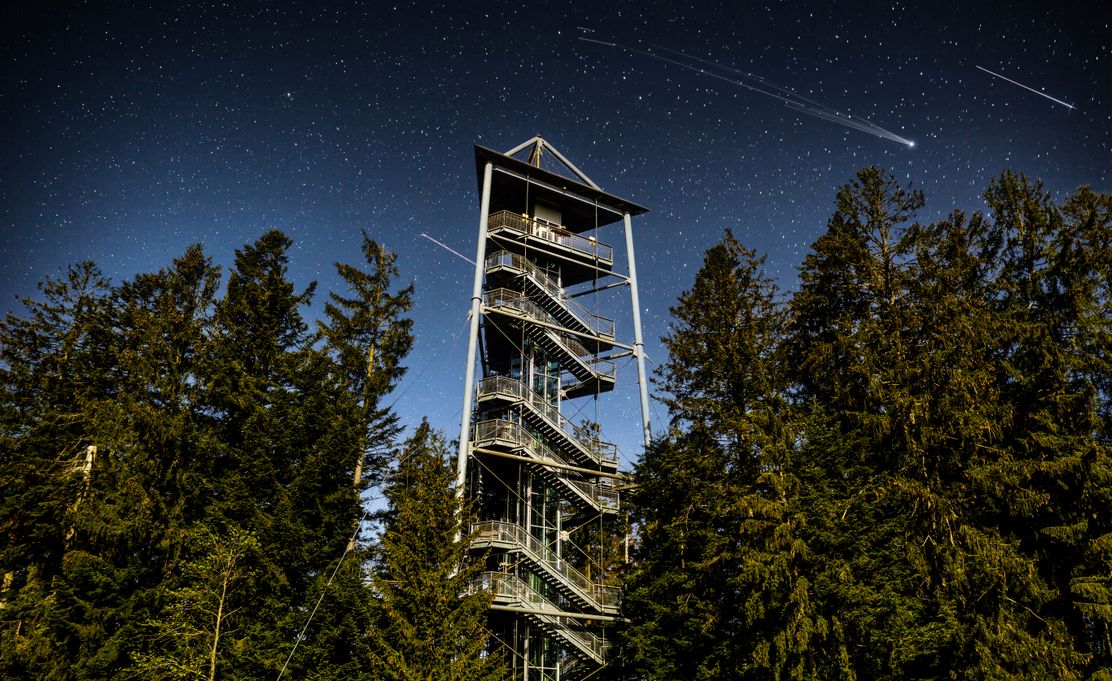 sternschnuppennacht-waldwelt-skywalk-allgaeu