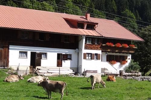 Alpe mit Schumpen