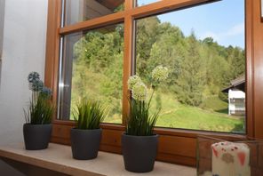 Blick zum Balkon