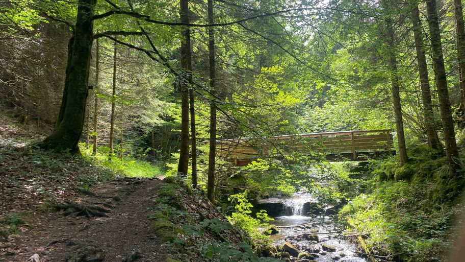 Wegeabschnitt