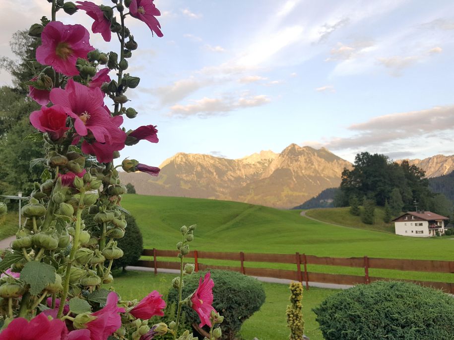 Aussicht von der Terrasse